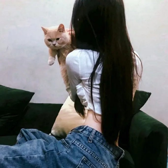 政权